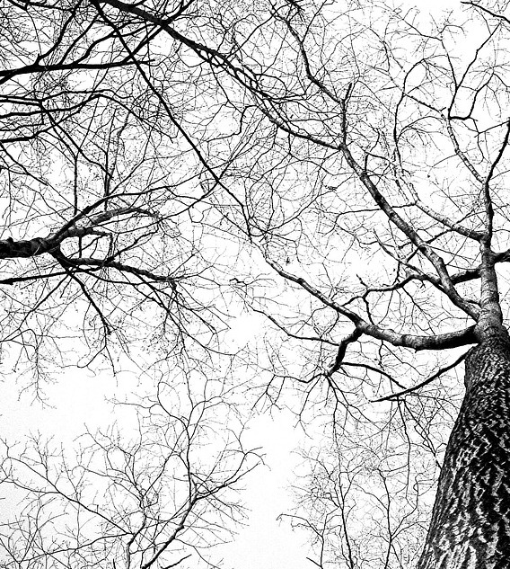 silhouette pull-up side view